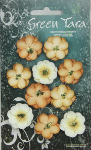 GREEN TARA FLOWERS BCHERRY BLOSSOM - OCHRE CPOc